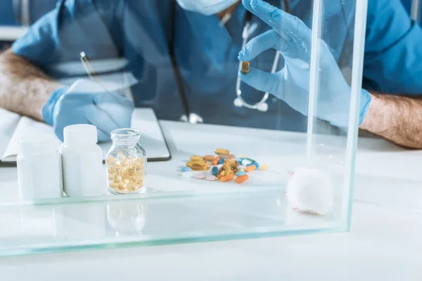 Cropped view of veterinarian in latex gloves holding capsule and writing in notebook near white mouse in glass box — Stock Photo