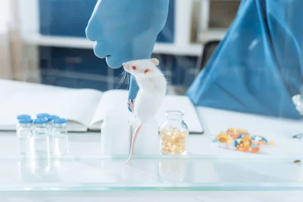 Vista recortada del veterinario en guantes de látex con ratón blanco en su dedo cerca de recipientes de vidrio con medicamentos - foto de stock