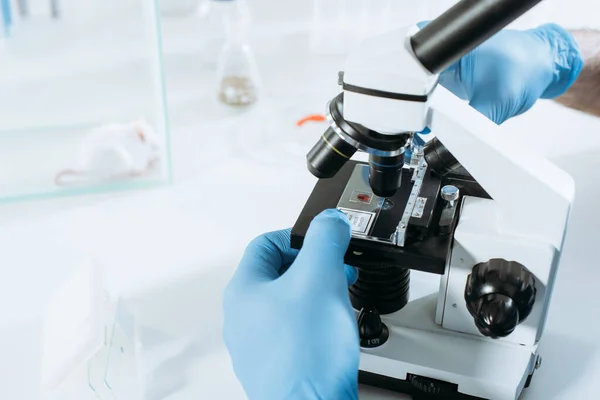 Vista recortada de biólogo en guantes de látex haciendo análisis con microscopio cerca de ratón blanco en caja de vidrio - foto de stock