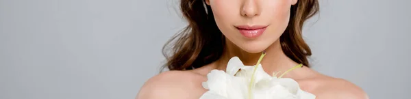 Plan panoramique de jeune femme près de fleur blanche en fleurs isolée sur gris — Photo de stock
