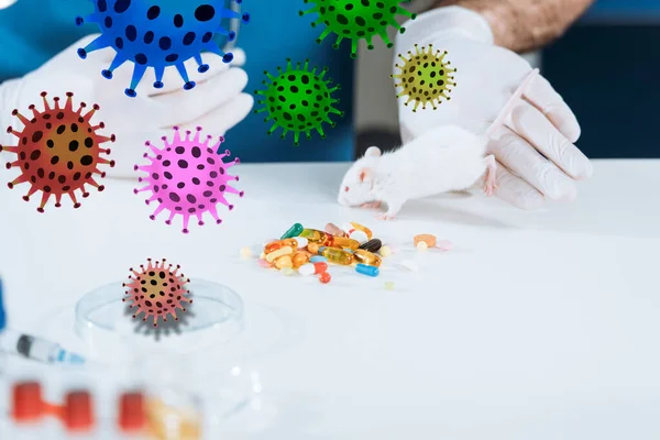 Vista recortada de veterinario en guantes de látex cerca de ratón blanco, cápsulas y placa de Petri en el escritorio, ilustración de bacterias - foto de stock