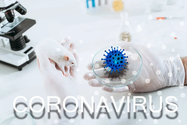Visão cortada do veterinário em luvas de borracha segurando mouse branco e placa de Petri perto do microscópio, ilustração coronavírus — Fotografia de Stock