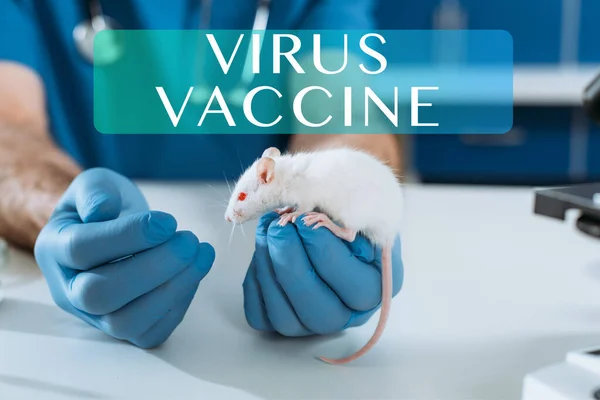 Vue recadrée du vétérinaire dans des gants de latex examinant la souris blanche en clinique, illustration du vaccin contre le virus — Photo de stock