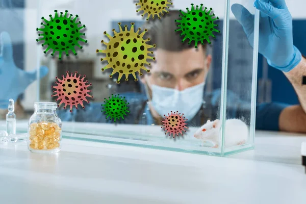 Enfoque selectivo de veterinario en máscara médica y guantes de látex mirando ratón blanco en caja de vidrio, ilustración de bacterias - foto de stock