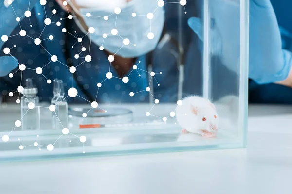Cropped view of veterinarian in medical mask and latex gloves touching glass box with white mouse near ampules and containers with medicines — Stock Photo