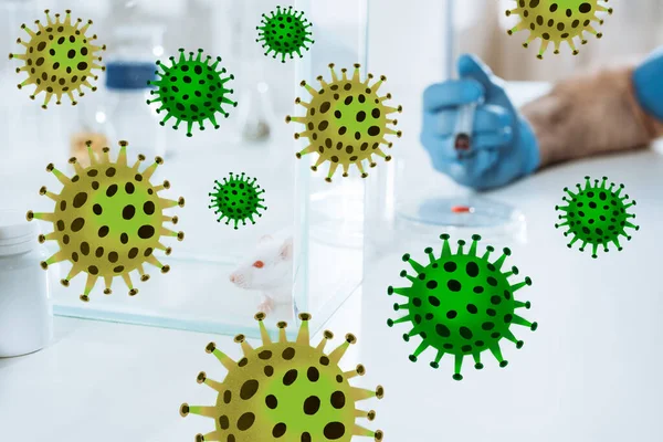 Cropped view of veterinarian holding syringe near petri dish with blood sample, and white mouse in glass box, bacteria illustration — Stock Photo