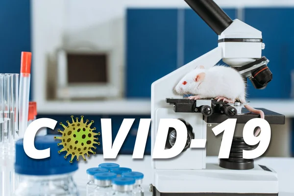 Weiße Maus auf Mikroskop in der Nähe von Reagenzgläsern und Behältern mit Medikamenten, Abbildung COVID-19 — Stockfoto