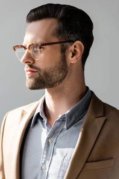 Homem de negócios bonito em óculos olhando para longe isolado em cinza — Fotografia de Stock