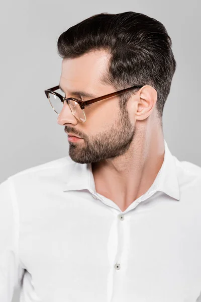 Bearded and handsome businessman in glasses isolated on grey — Stock Photo
