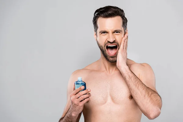 Muskulöser Mann schreit, während er eine Flasche mit After Shave Lotion hält, isoliert auf grau — Stockfoto