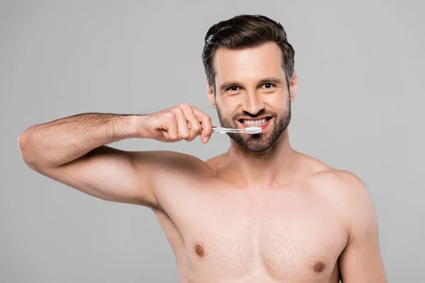 Happy and muscular man brushing teeth isolated on grey — Stock Photo