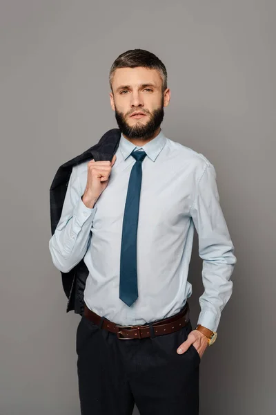 Красивый бородатый бизнесмен с блейзером на сером фоне — стоковое фото