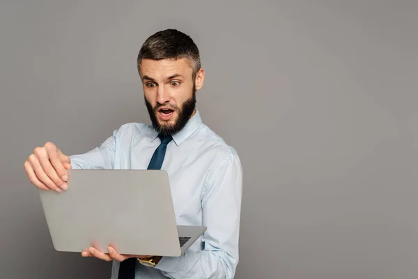 Shocked handsome bearded businessman with laptop on grey background — Stock Photo
