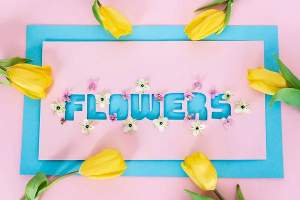 Ansicht von gelben Tulpen auf Grußkarte mit Blumen Schriftzug auf rosa und blau — Stockfoto
