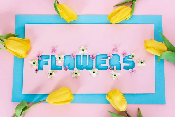 Top view of yellow tulips on greeting card with flowers lettering on pink and blue — Stock Photo