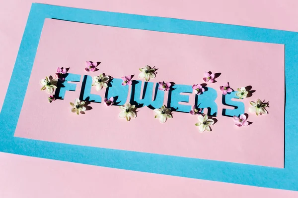 Cartão de saudação com letras flores em rosa e azul — Fotografia de Stock
