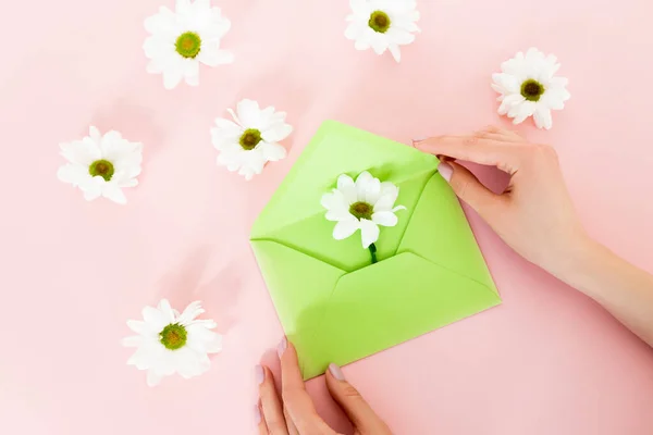 Vue recadrée de la femme tenant enveloppe verte près de fleurs blanches sur rose — Photo de stock