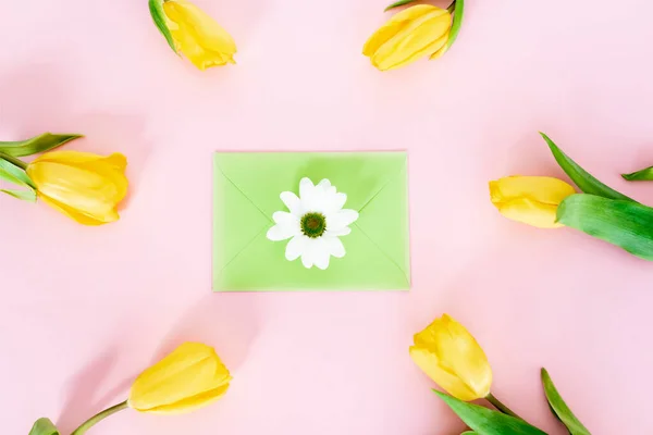 Draufsicht auf grünen Umschlag mit weißer Chrysantheme neben gelben Tulpen auf rosa, Muttertagskonzept — Stockfoto