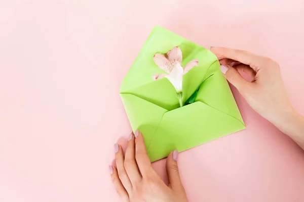 Cropped view of woman holding green envelope with alstroemeria flower on pink, mothers day concept — Stock Photo