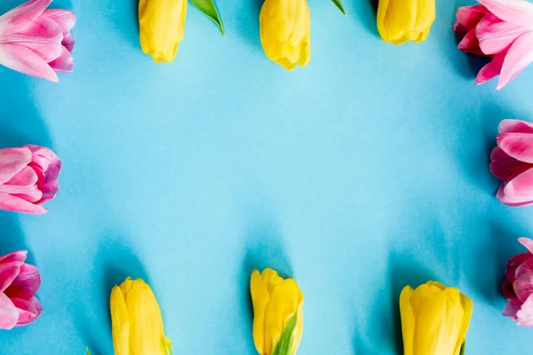 Draufsicht auf blühende gelbe und rosa Tulpen auf blauem, Muttertagskonzept — Stockfoto
