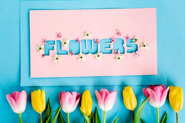 Vista superior de tulipanes amarillos y rosados cerca de la tarjeta de felicitación con letras de flores en azul, concepto de día de las madres - foto de stock