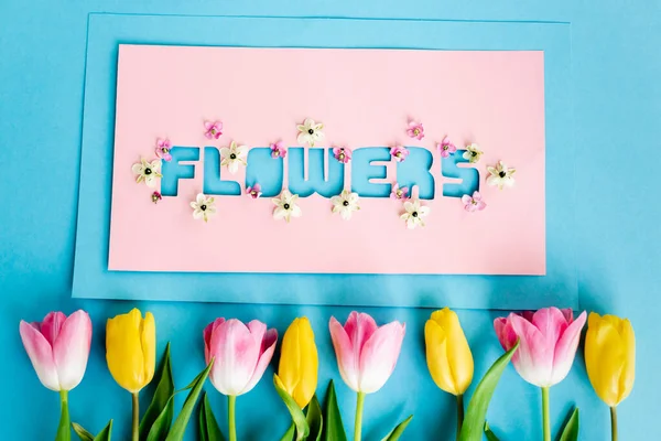 Vue du dessus des tulipes jaunes et roses en fleurs près de la carte de vœux avec des lettres de fleurs sur le bleu, concept de fête des mères — Stock Photo