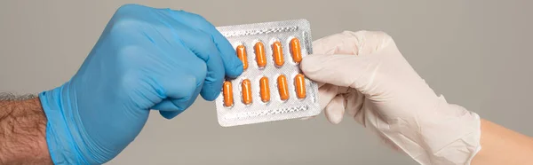 Cropped view of couple in latex gloves holding blister with pills isolated on grey, panoramic shot — Stock Photo