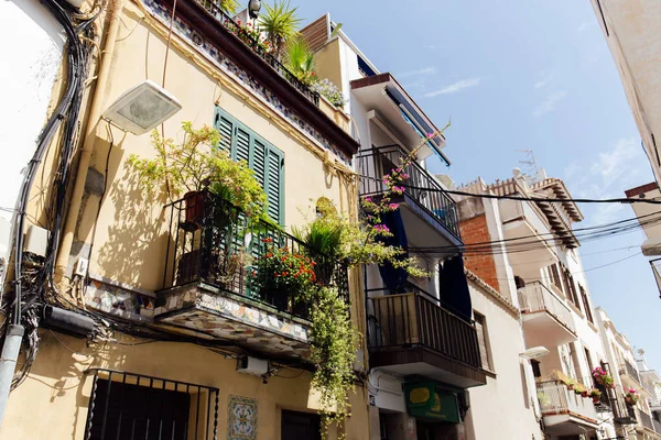 Rua urbana com plantas na varanda e céu azul no fundo na Catalunha, Espanha — Fotografia de Stock