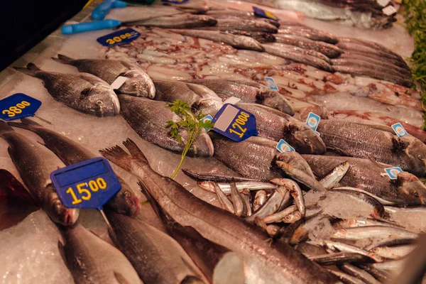 Close up view of raw fishes with price tags on ice on shop showcase in Catalonia, Spain — Stock Photo