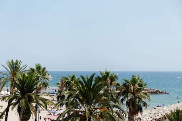 Palmen und Meeresküste mit blauem Himmel im Hintergrund in Katalonien, Spanien — Stockfoto