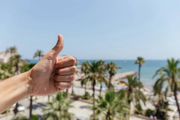 Cropped view of man showing like gesture with palm trees and sea coast at background in Catalonia, Spain — Stock Photo