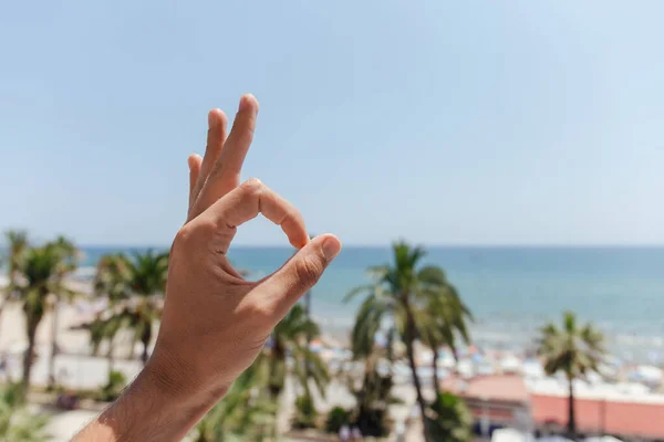 Cropped view of man showing okay gesture with palm trees and sea at background in Catalonia, Spain — Stock Photo