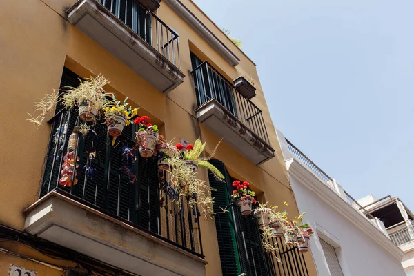 Low angle view of blooming flowers in flowerpots on house balcony in Catalonia, Spain — Stock Photo