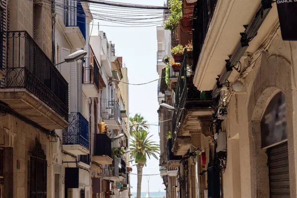 Facades of houses with palm trees and sea at background in Catalonia, Spain — Stock Photo