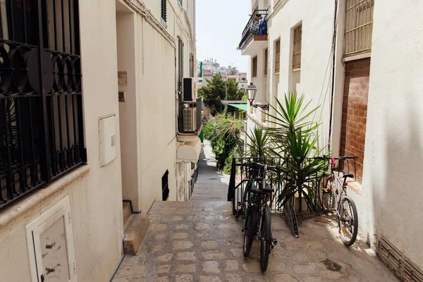 Biciclette e piante verdi sulla strada urbana in Catalogna, Spagna — Foto stock