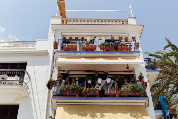 Tiefansicht von Pflanzen in Blumentöpfen auf dem Balkon eines Hauses mit blauem Himmel im Hintergrund in Katalonien, Spanien — Stockfoto