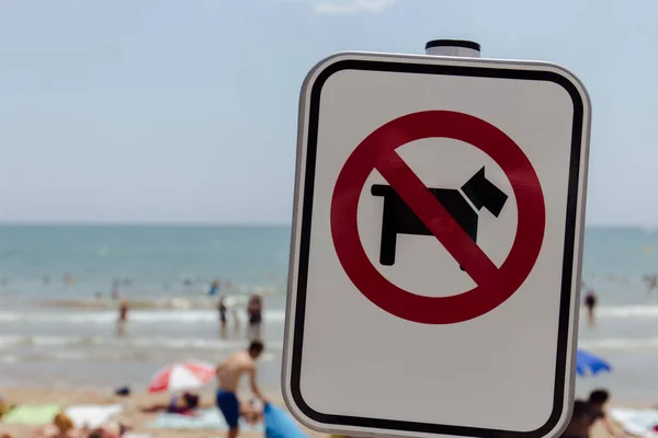 Focus selettivo di divieto di cani segno sulla spiaggia in Catalogna, Spagna — Foto stock