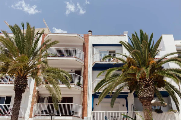 Vista ad angolo basso di palme vicino a edifici con facciate bianche in Catalogna, Spagna — Foto stock