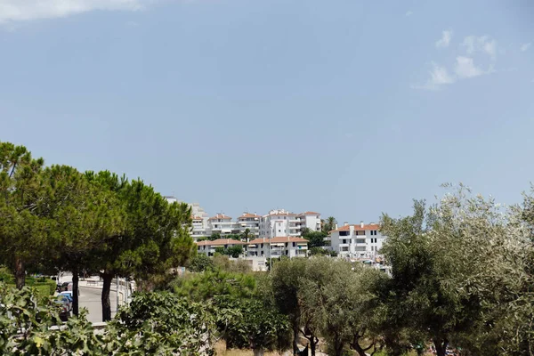 Focus selettivo di alberi ed edifici con cielo limpido sullo sfondo in Catalogna, Spagna — Foto stock