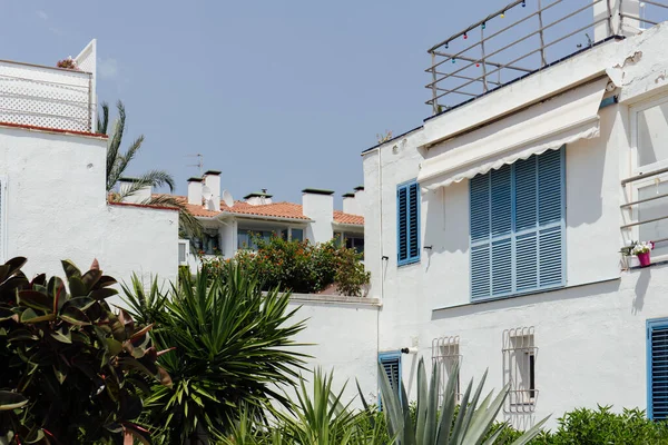 Зелені рослини і кущі біля будинків з білими краями і синім небом на задньому плані в Каталонії (Іспанія). — стокове фото