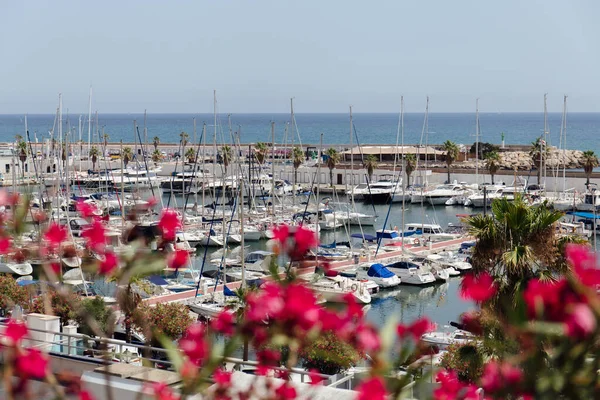 CATALONIA, SPAGNA - 30 APRILE 2020: Focus selettivo degli yacht vicino al molo e alla pianta in fiore sulla costa del mare — Foto stock
