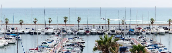 CATALONIA, ESPAÑA - 30 DE ABRIL DE 2020: Palmeras cerca de yates en puerto con paisaje marino de fondo, plano panorámico - foto de stock