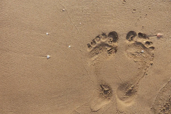 Vue de dessus des empreintes de pas sur sable de plage humide — Photo de stock
