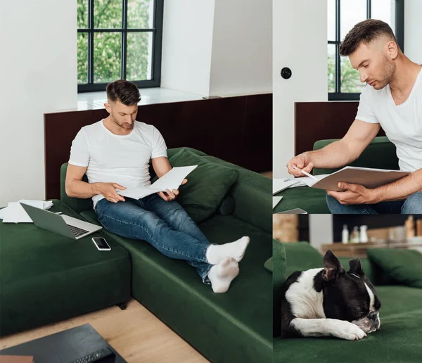 Collage of freelancer holding folders near gadgets and french bulldog lying on sofa — Stock Photo