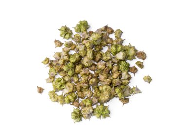 Tribulus terrestris bitkinin tohumları kuru.