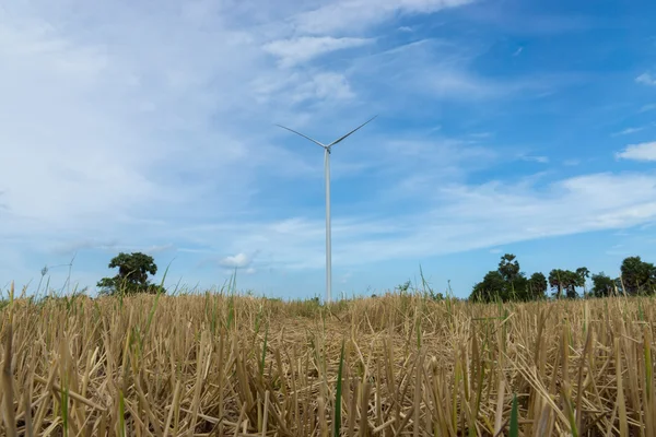 Las turbinas eólicas generan electricidad — Foto de Stock