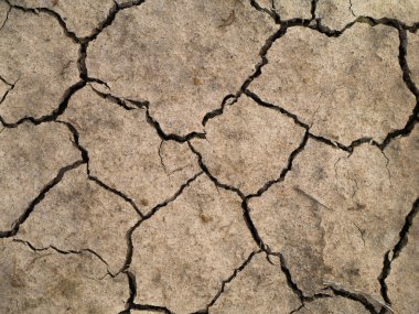 Yaz aylarında Kuru toprak