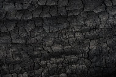 Kömürün yüzeyindeki detaylar.