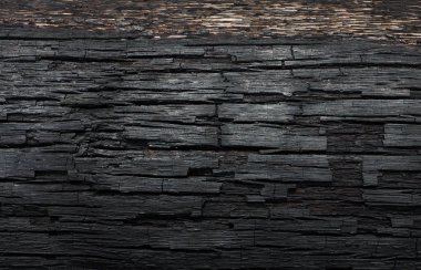 Kömürün yüzeyindeki detaylar.