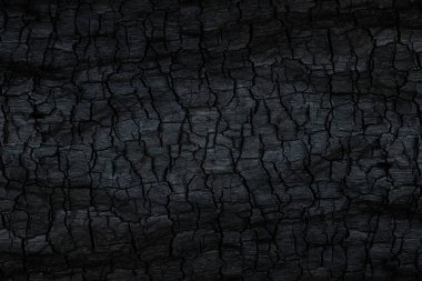 Kömürün yüzeyindeki detaylar.